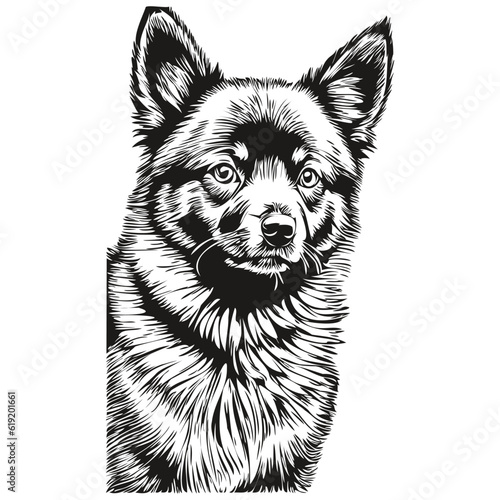 Schipperke dog ink sketch drawing  vintage tattoo or t shirt print black and white vector sketch drawing