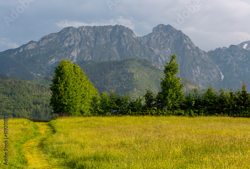 View of the Tatra Mountains and the Giewont peak. Green meadow, the road leads to the side of the mountains. There are trees beside the road. Summer in the Tatra Mountains © Adam