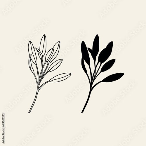 Line art sage branch illustration
