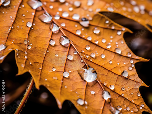 Yellowed leaf in autumn rainy weather close-up. Generative AI