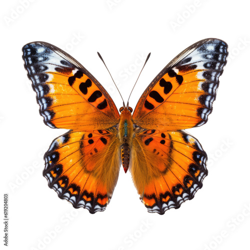 Butterfly isolated on transparent background. Generative ai