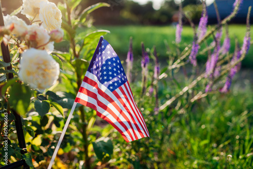 Fototapeta Naklejka Na Ścianę i Meble -  Independence day of USA. American flag put in summer garden by flowers at sunset. July 4th. Memorial day