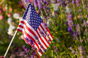 Independence day of USA. American flag put in summer garden by flowers at sunset. July 4th. Memorial day