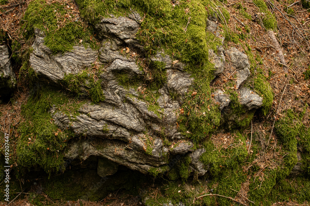 nature has created an unusual textured background nature has created an unusual textured background