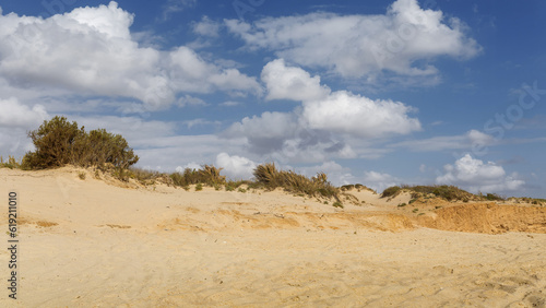 the golden sands of the Negev desert
