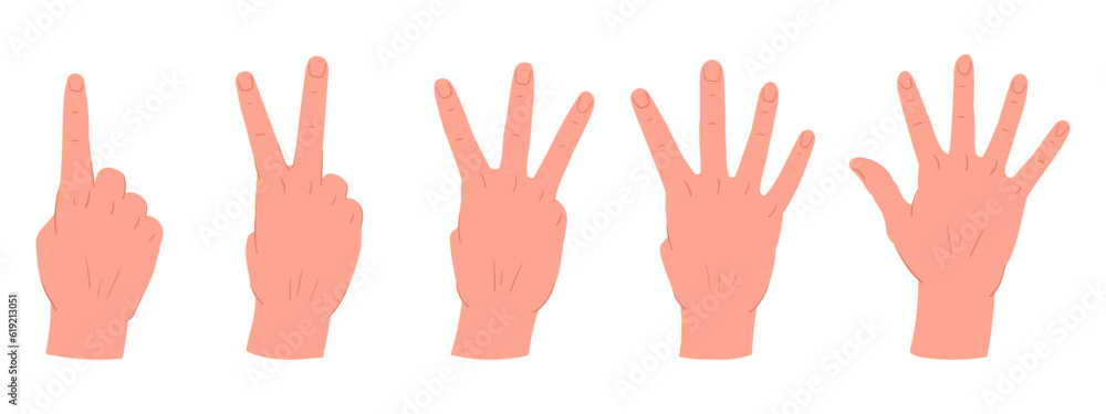 Counting hands gestures. Cartoon hand palms with count from one to five gestures. Human hands with countdown gestures flat vector illustration set Counting hands gestures. Cartoon hand palms with count from one to five gestures. Human hands with countdown gestures flat vector illustration set