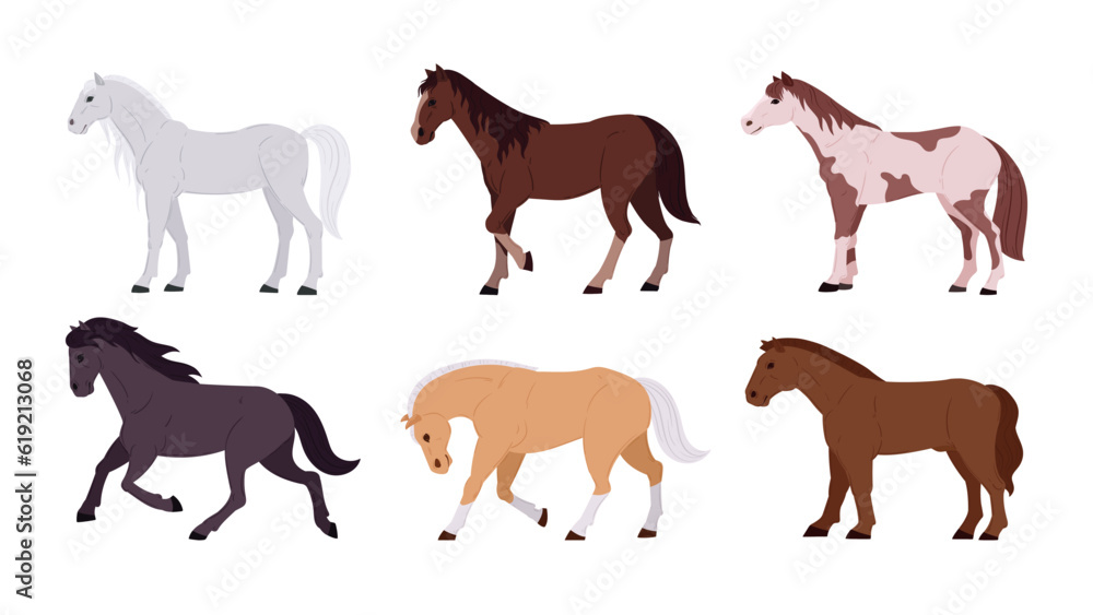 Domestic horses. Cartoon thoroughbred graceful farm or ranch animals flat vector illustration set. Horses collection