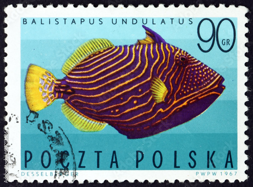 Postage stamp Poland 1967 the orange-lined triggerfish, balistapus undulatus, fish photo