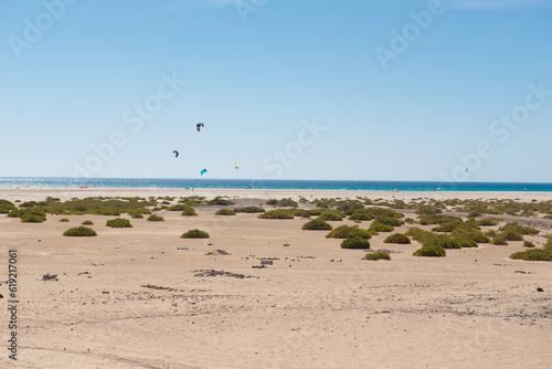 Kite sails and windsurfing on a paradisiacal beach