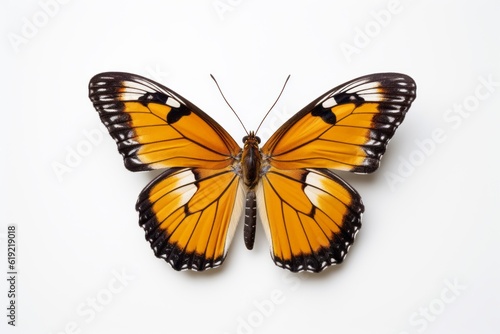 Whimsical Butterfly on a White Background, Generative AI © avrezn