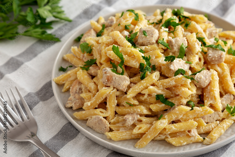 Homemade One-Pot Chicken Alfredo Pasta with Parsley on a Plate, side view. Homemade One-Pot Chicken Alfredo Pasta with Parsley on a Plate, side view.