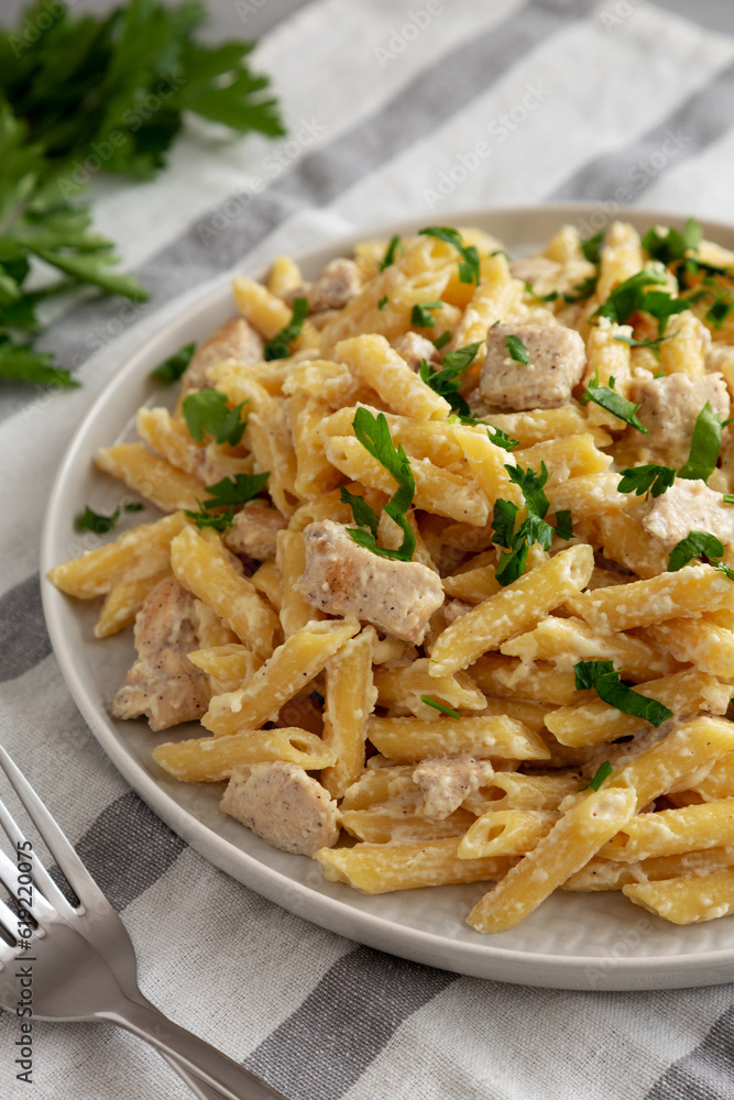 Homemade One-Pot Chicken Alfredo Pasta with Parsley on a Plate, side view. Homemade One-Pot Chicken Alfredo Pasta with Parsley on a Plate, side view.