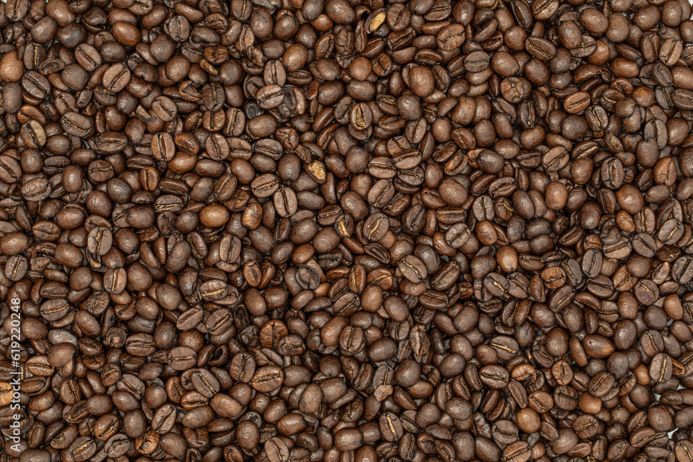 Backdrop of brown coffee espresso beans in very high detail Backdrop of brown coffee espresso beans in very high detail