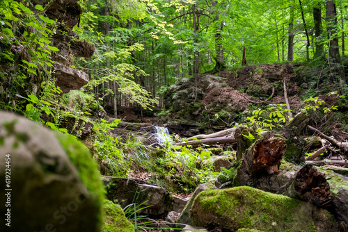 small waterfall in the forest