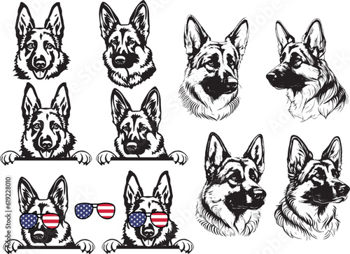 German Shepherd Police Dog Peeking,guard dog breed