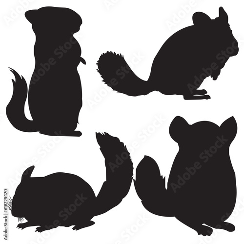 Vector Chinchilla animal silhouette set