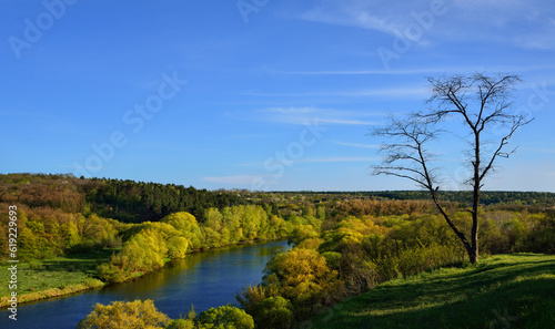 Nature, forest, river, country landscape against the blue sky.