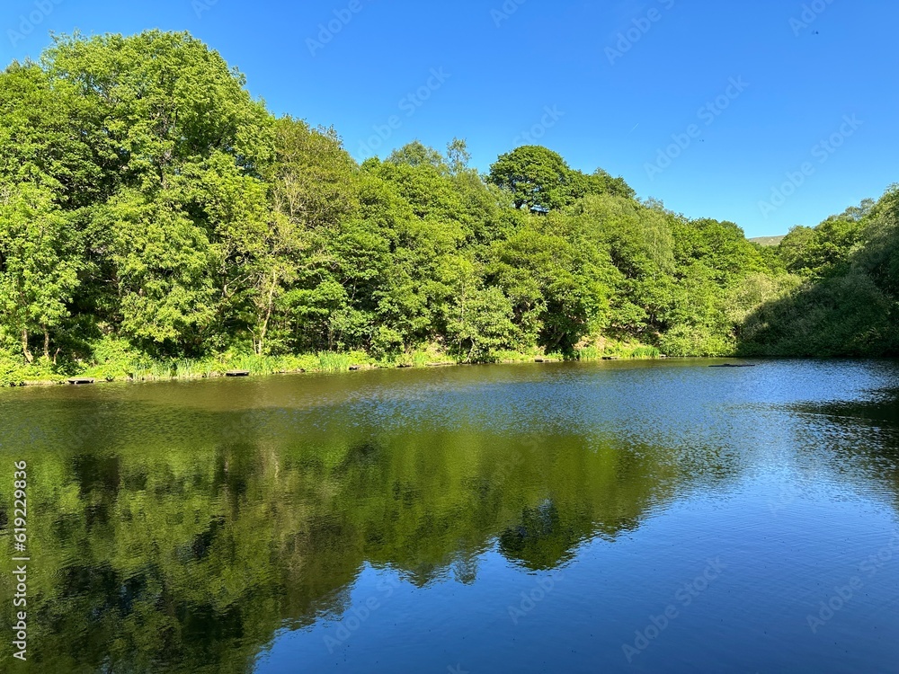 Small lake, surrounded by woodland, and wild plants, set against a vivid blue sky near, Cause Wood Road, Lumbutts, Todmorden, UK 
