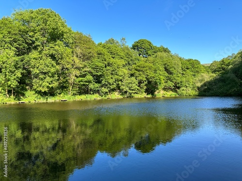 Small lake  surrounded by woodland  and wild plants  set against a vivid blue sky near  Cause Wood Road  Lumbutts  Todmorden  UK 