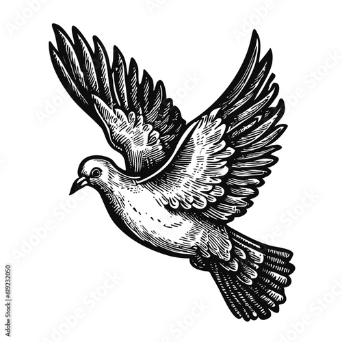 dove in flight vintage sketch