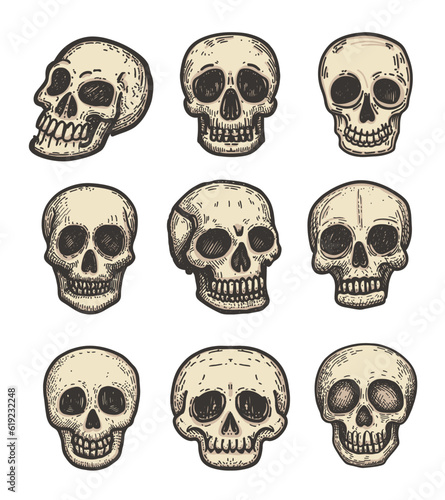 Skull Bone Doodle Style Vector Illustration