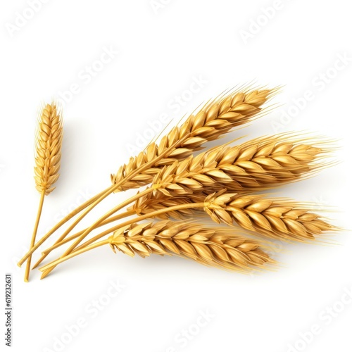 Wheat easrs isolated. Illustration AI Generative.