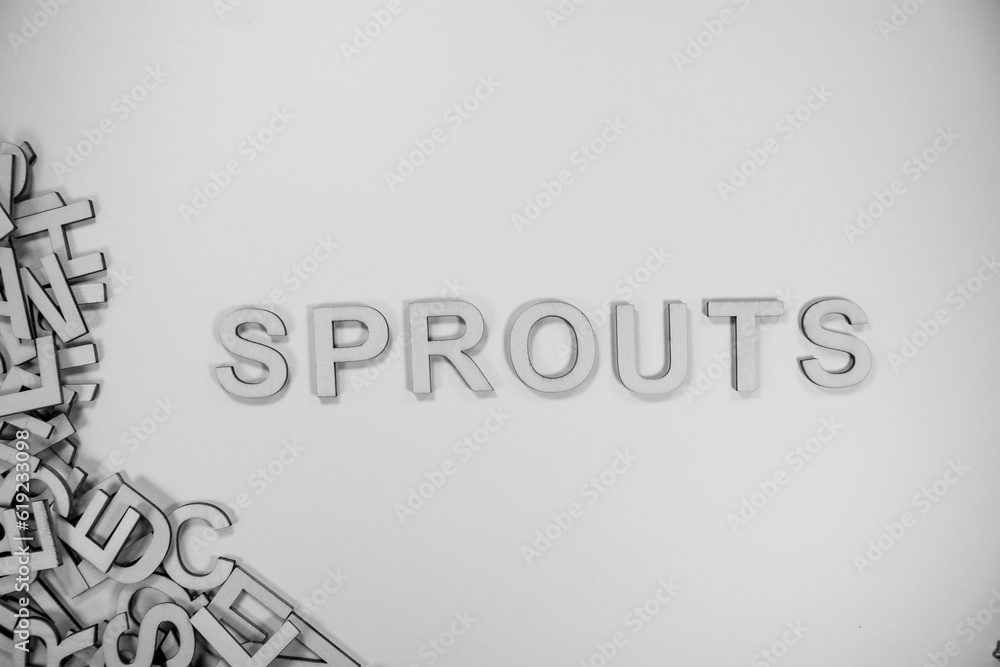 SPROUTS in wooden English words language capital letters spilling from