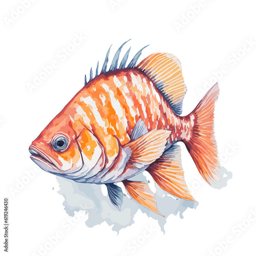beautiful drawing of colored fishes, marine life, watercolor painting, hand drawing,white background.