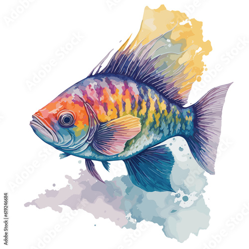 beautiful drawing of colored fishes, marine life, watercolor painting, hand drawing,white background.