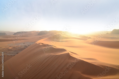 Panorama of the Algerian Sahara with dunes © robnaw
