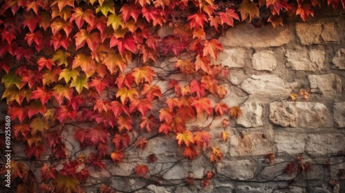 Fotografia, Obraz red autumn leaves on a wall facade