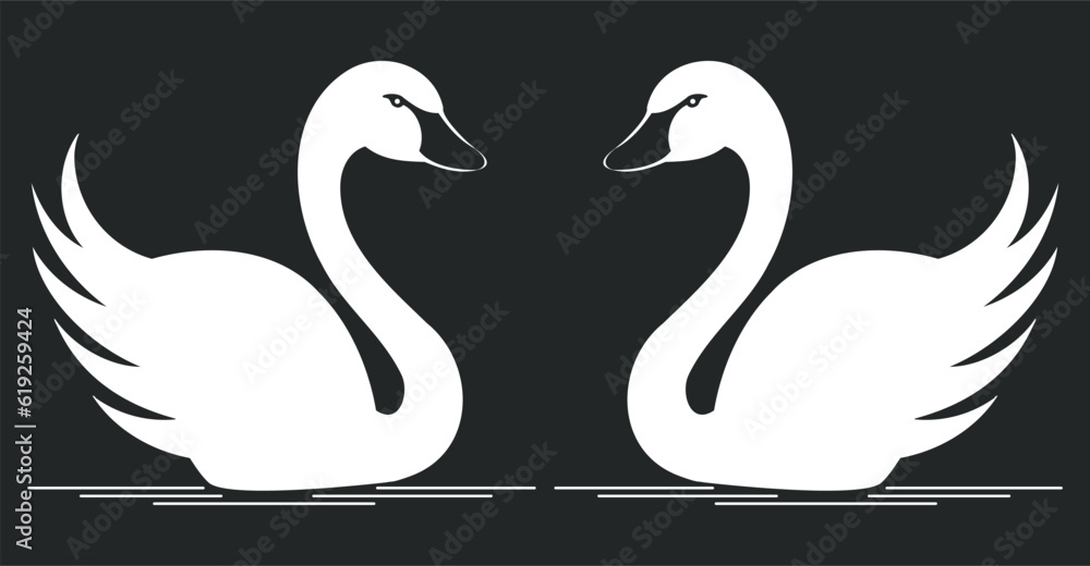 Fototapeta premium two swans on the water, swans on the lake vector illustration