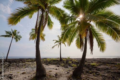 Hawaiian coast