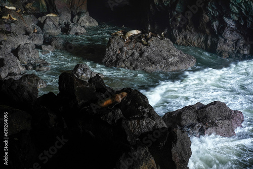 Sea Lion Caves in Florence, Oregon, USA.