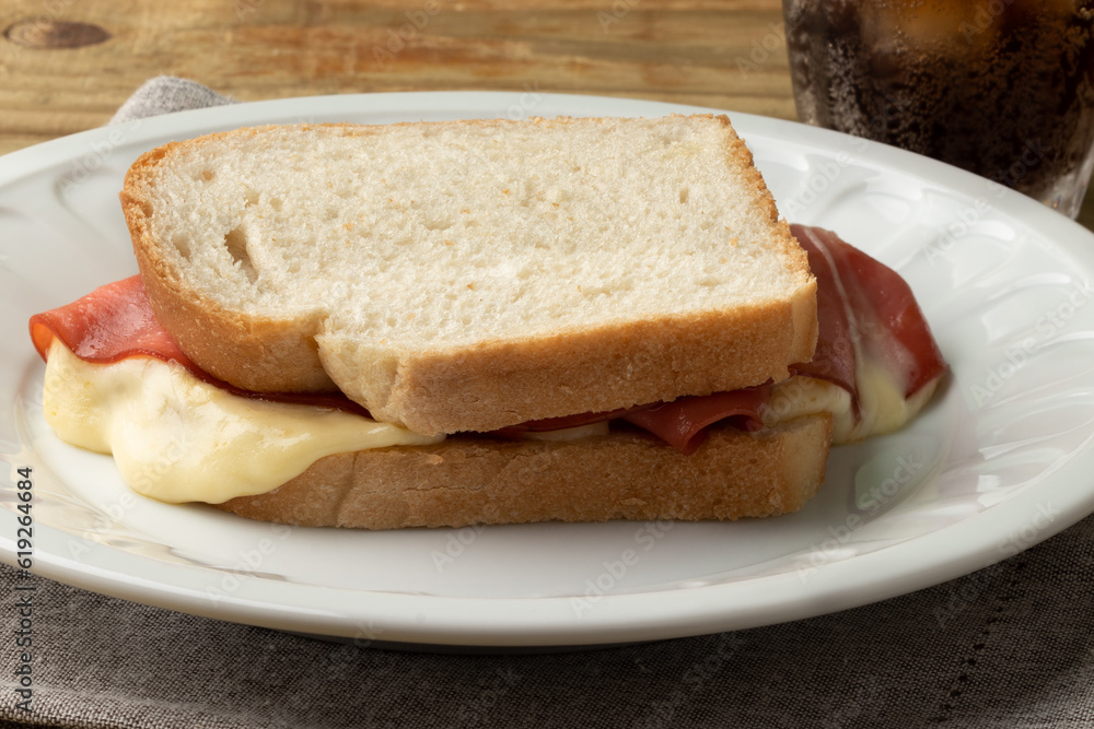 Delicious toasted bread with mortadella and cheese on white plate. Delicious toasted bread with mortadella and cheese on white plate.