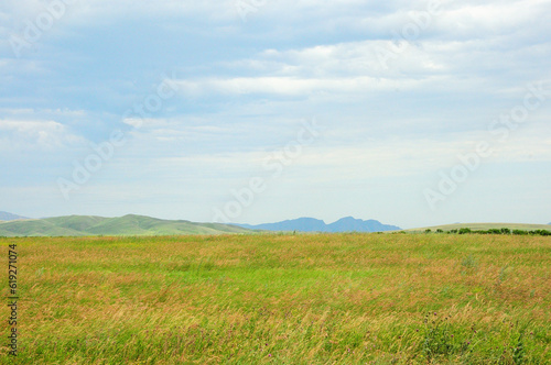 A huge boundless steppe with tall yellowed grass at the foot of a mountain range on a cloudy summer day.