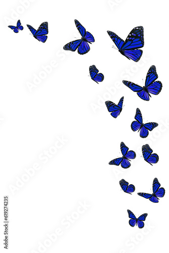Greeting card butterfly