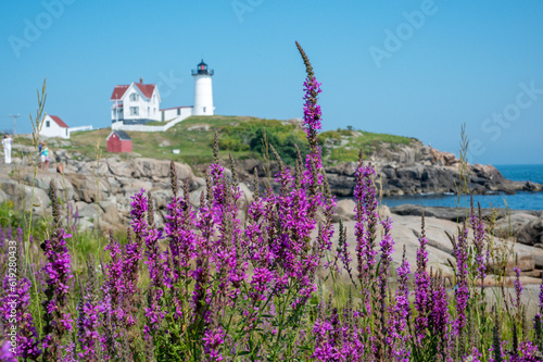 Foto Nubble Lighthouse, Cape Neddick Point, York Maine, USA