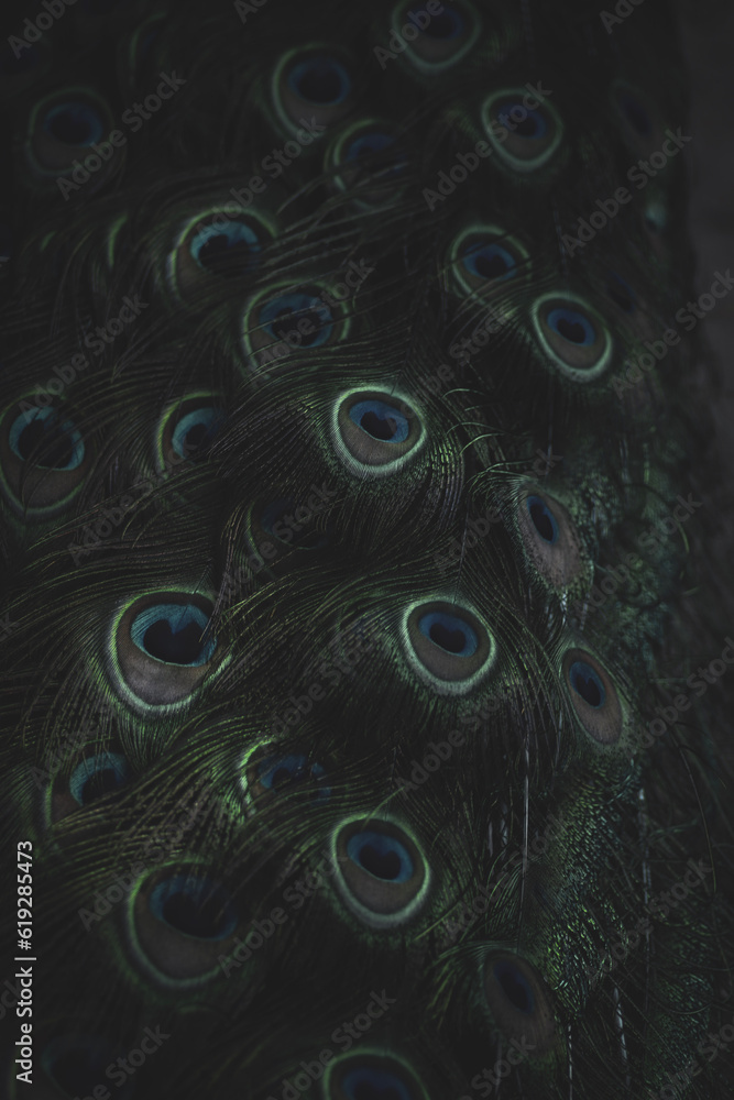 Obraz premium abstract background with circles
