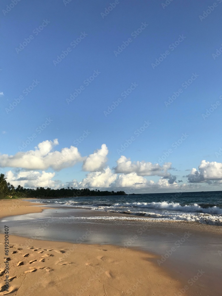 Obraz premium beach and sea