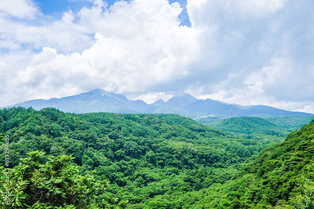 Obraz premium 山梨県北杜市八ヶ岳高原大橋の景色