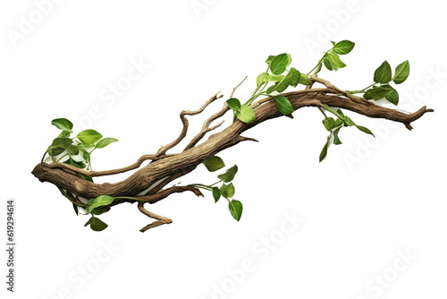 realistic twisted jungle branch with plant growing isolated on a white background