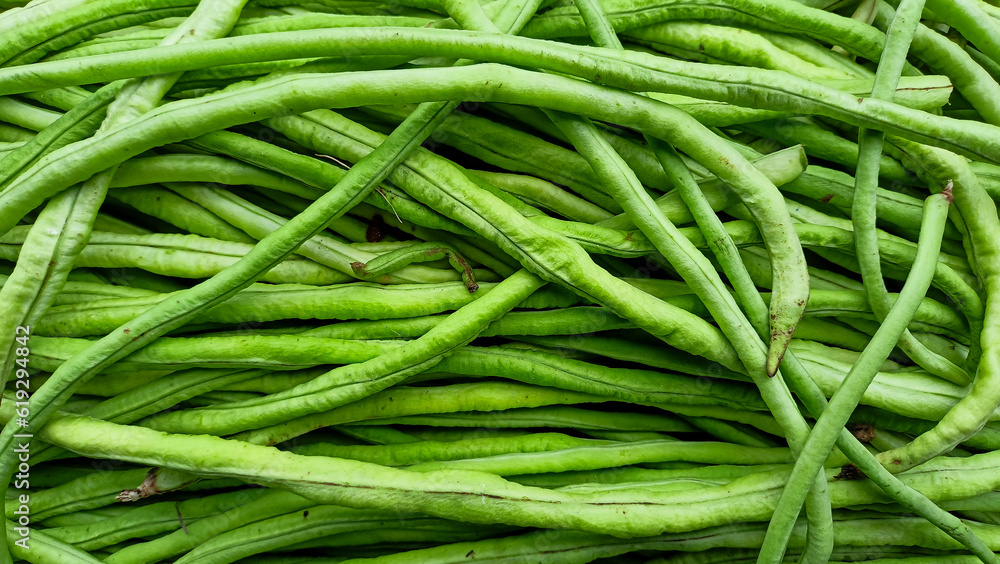 Morning Market, Selling Long Beans in Bireuen City Morning Market, Selling Long Beans in Bireuen City