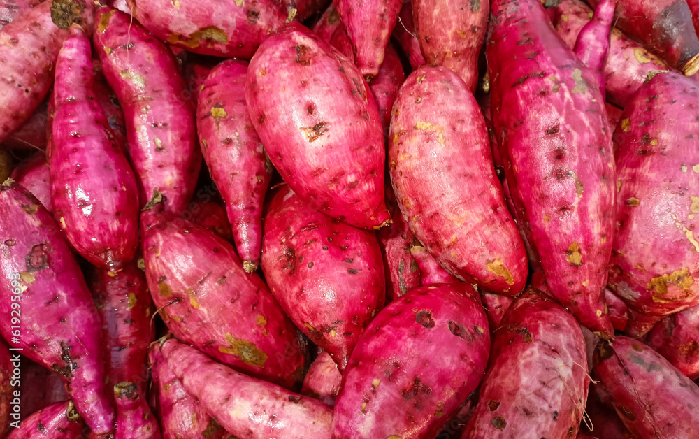 Morning Market, Selling Sweet Potatoes in Bireuen City Morning Market, Selling Sweet Potatoes in Bireuen City