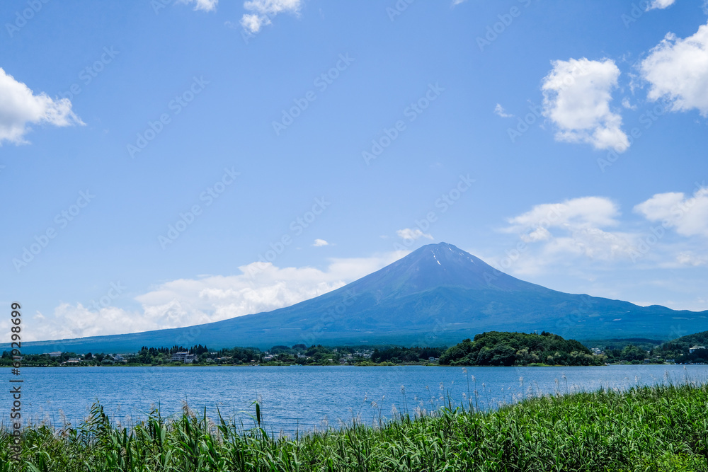 山梨県河口湖と湖畔のラベンダー畑と富士山