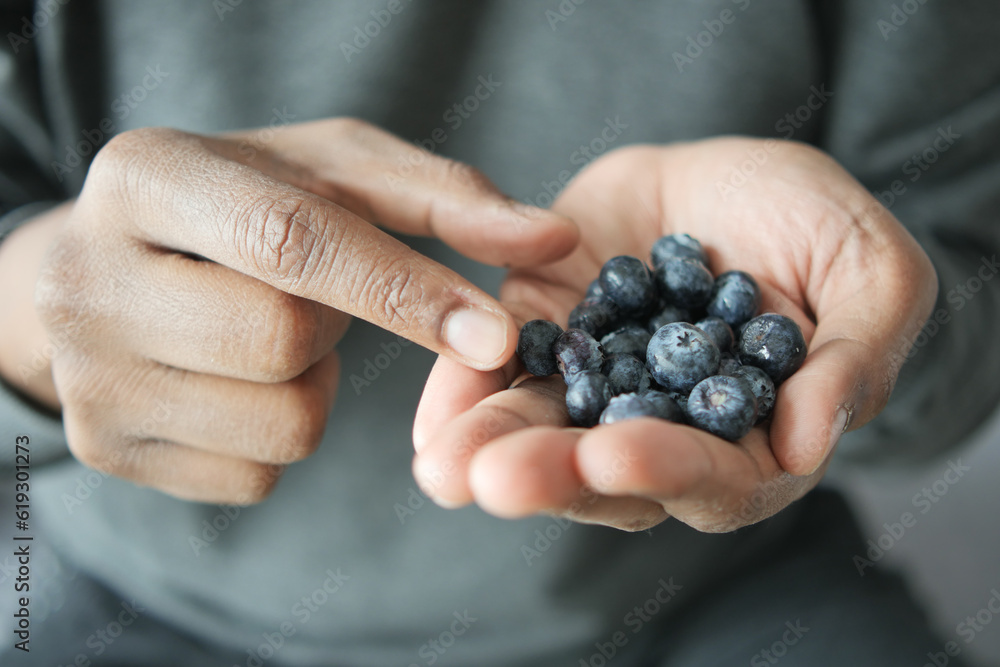  men hand pick fresh blue berry 