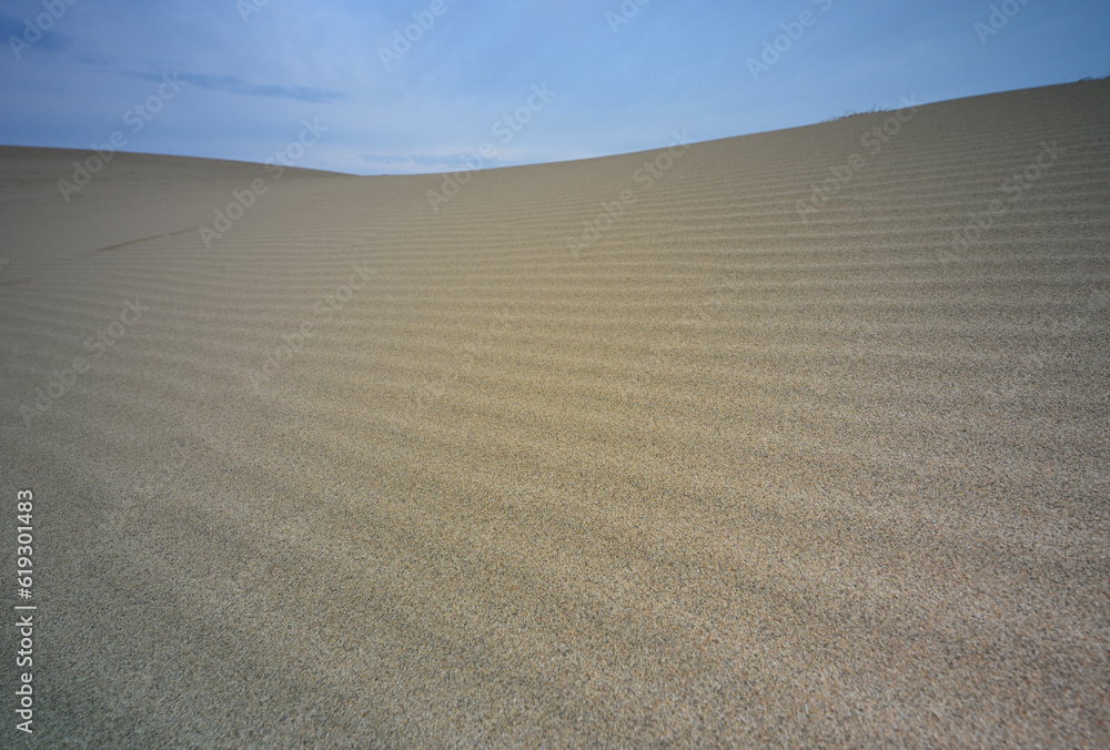 Naklejka premium 鳥取砂丘