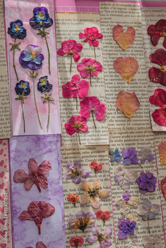 beautiful variety of pressed flower bookmarks close up