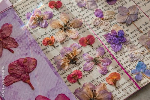 beautiful variety of pressed flower bookmarks close up
