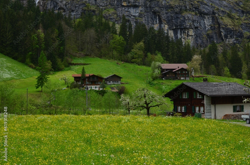 Picturesque view of village and forest in high mountains Picturesque view of village and forest in high mountains